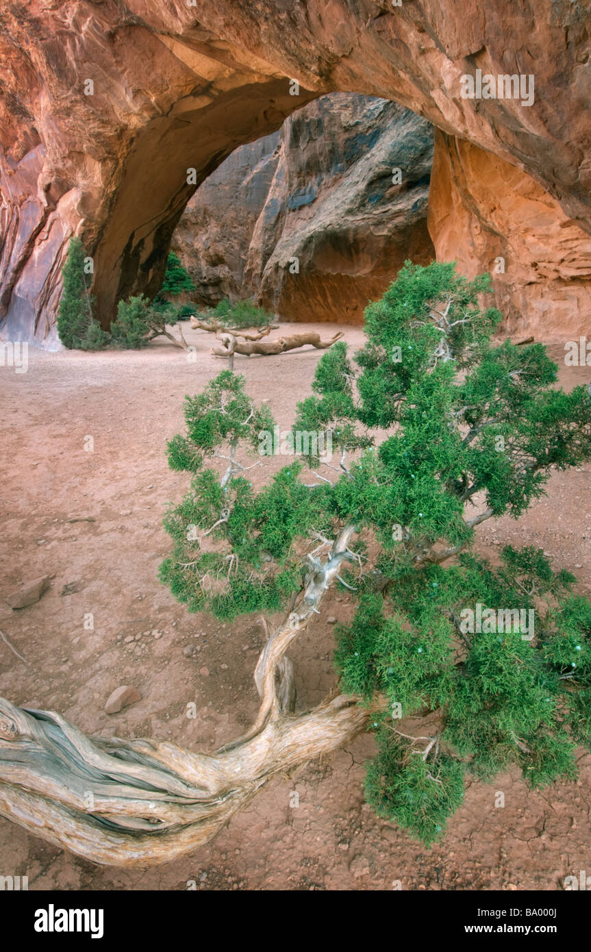 Navajo arch hi-res stock photography and images - Alamy