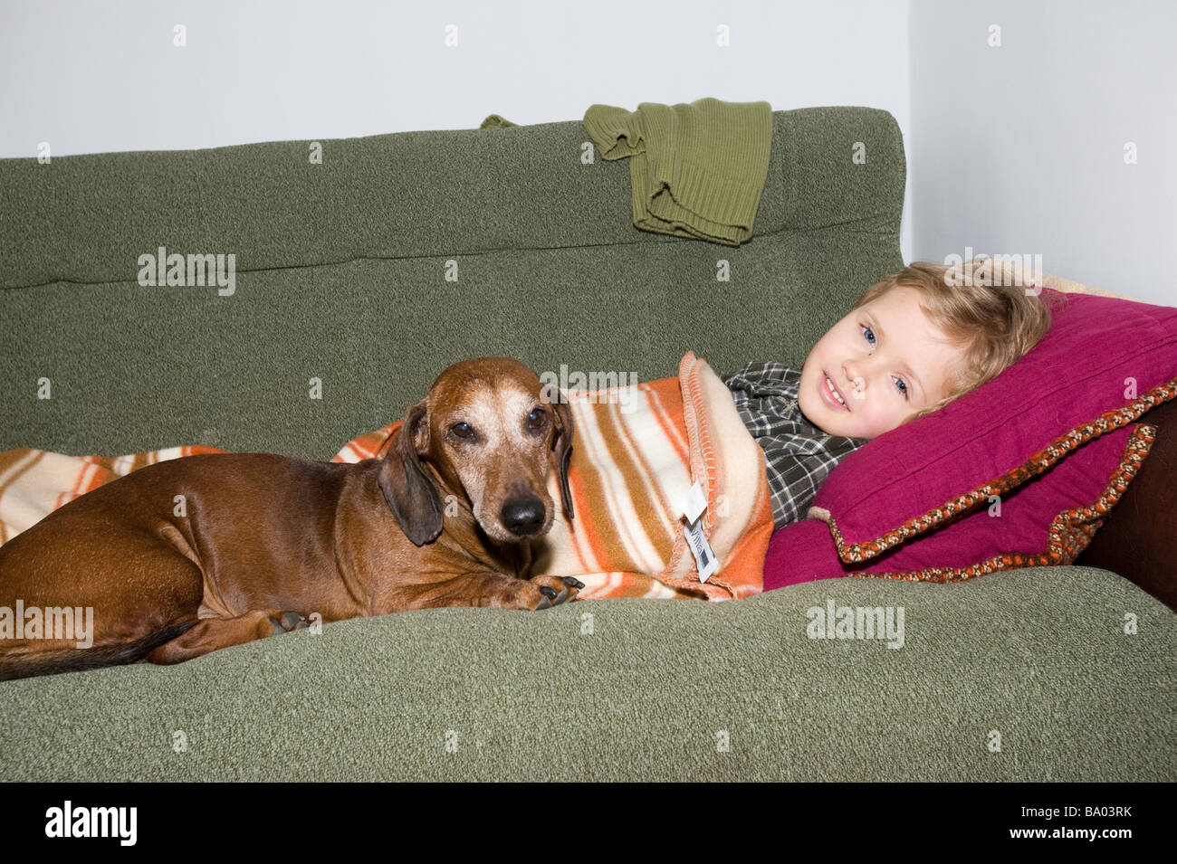 3 year old boy feeling not well resting with a dog on sofa Poland Stock Photo