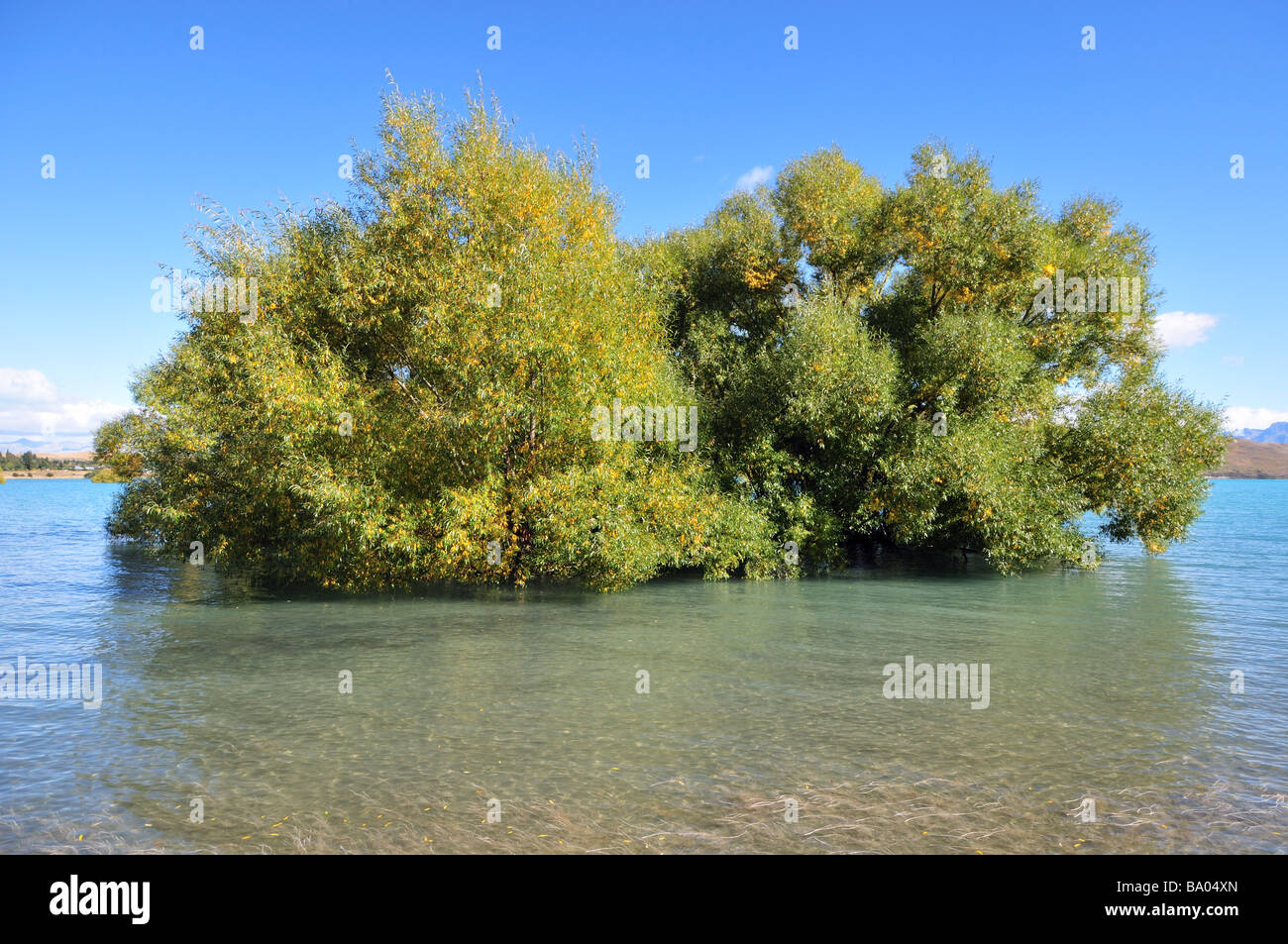 Tree submerged in flood hi-res stock photography and images - Alamy