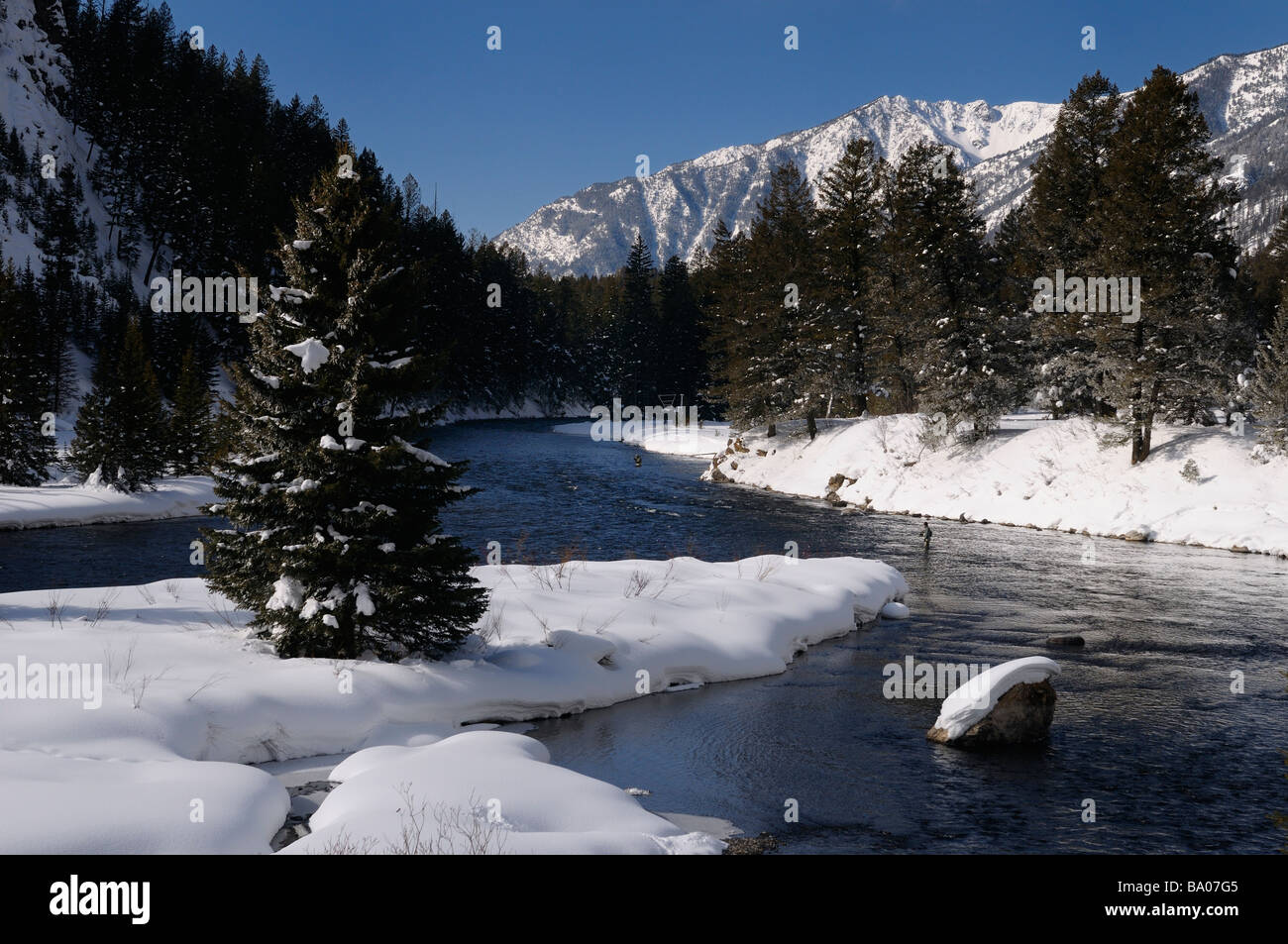 Men Wading On Madison River In Winter Fly Fishing With Snowy Rocky Mountain Madison Range Montana Stock Photo Alamy
