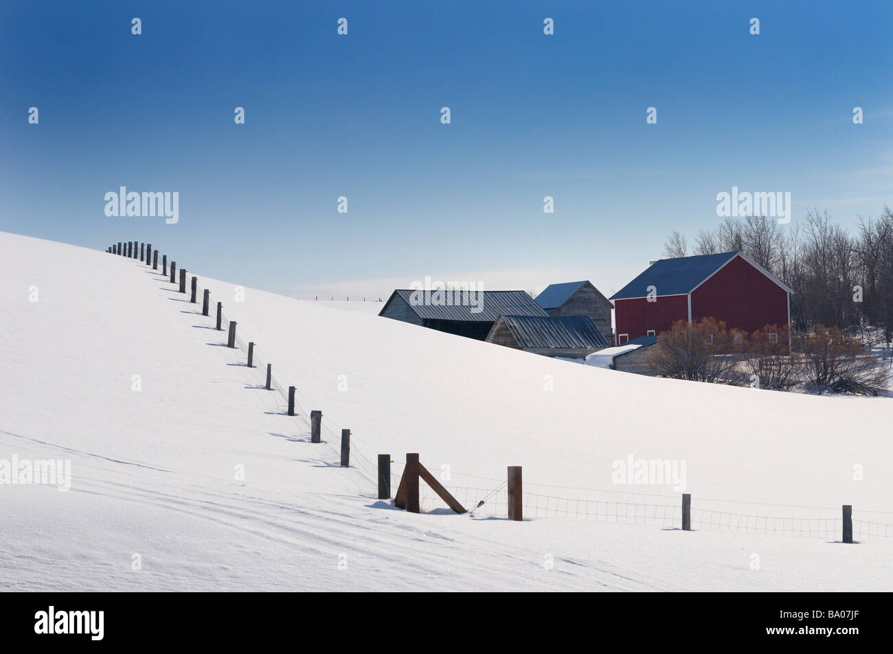 Farm buildings and fence buried in snow with blue sky in Idaho winter Stock Photo