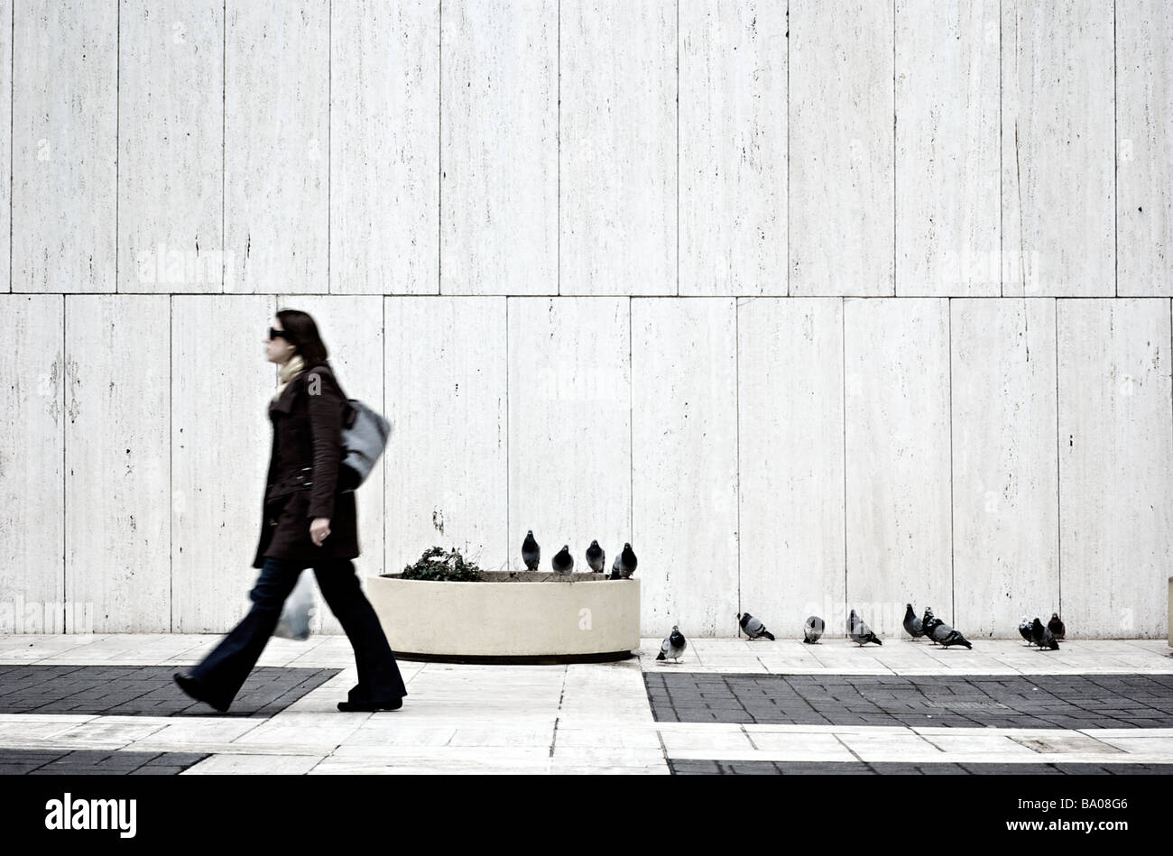 Woman Walking Past Perching Pigeons in Urban Plaza in New York City, USA (For Editorial Use Only) Stock Photo