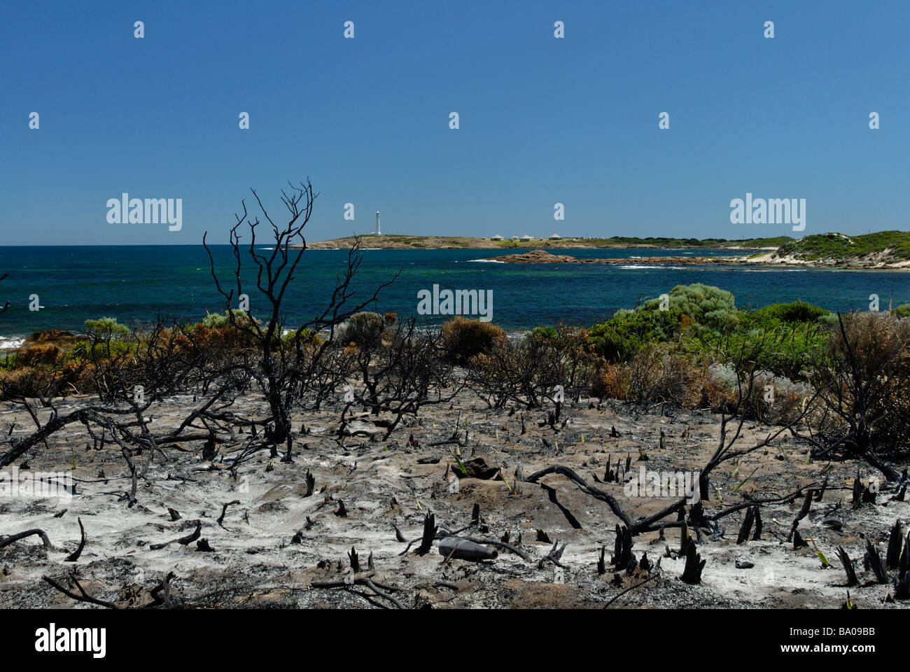 Western Australia Cape Leeuwin fire damaged vegetation Stock Photo