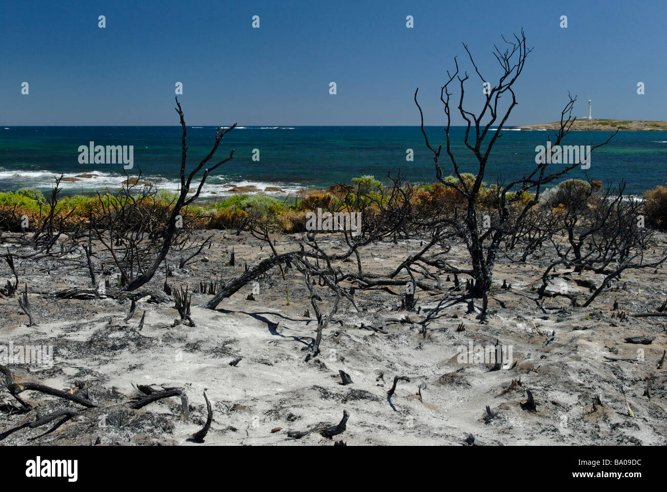 Western Australia Cape Leeuwin burnt vegetation resulting from a bush fire Stock Photo