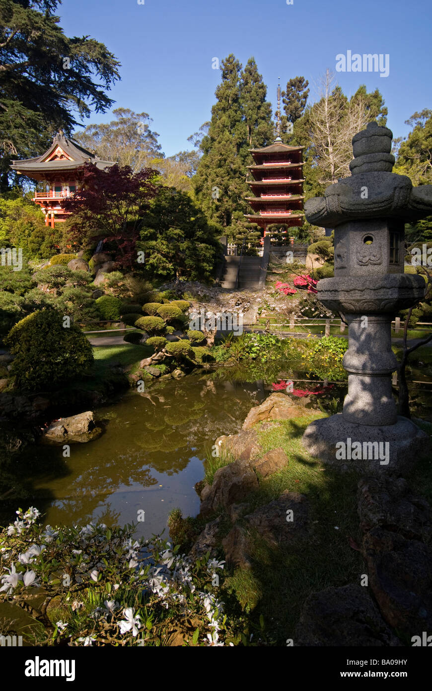 Golden Gate Park Japanese Tea Garden Stock Photo Alamy