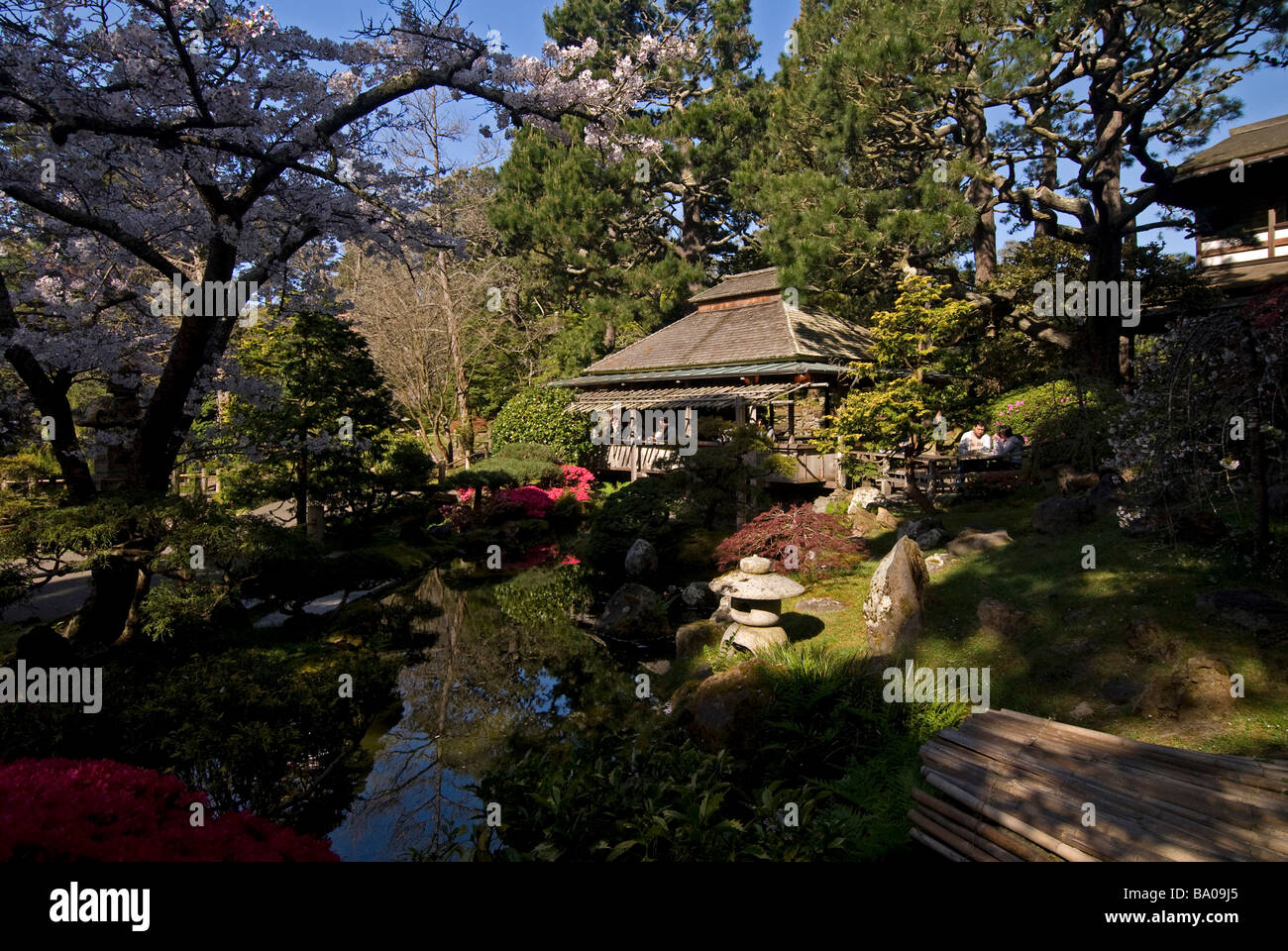 Golden Gate Park Tea House Stock Photo Alamy