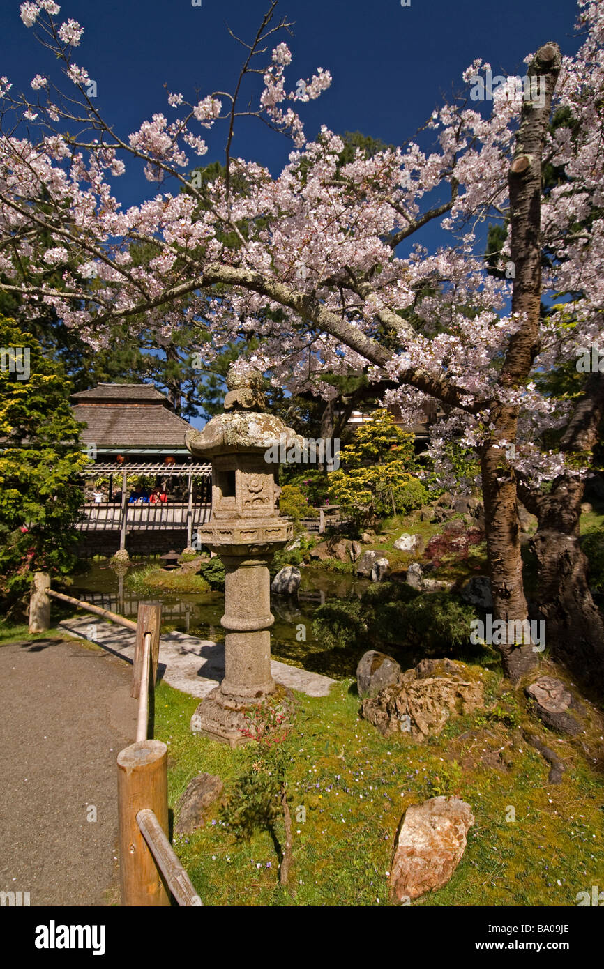 Golden Gate Park Tea House Stock Photo Alamy