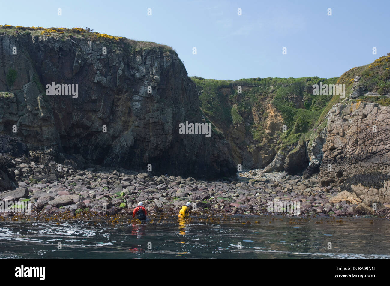 Otter survey St Brides Bay Pembrokeshire Wales Stock Photo