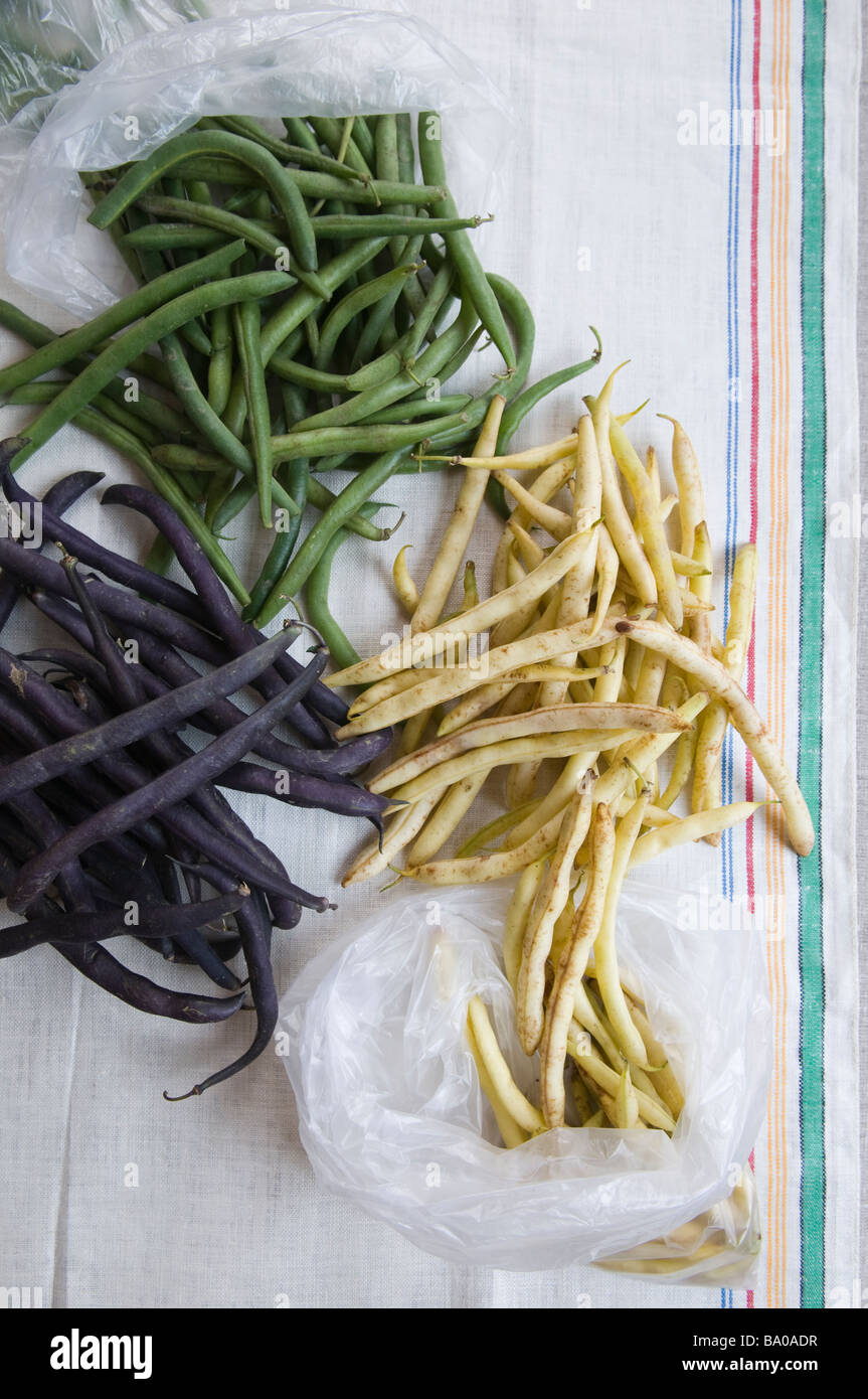 various types of string beans Stock Photo Alamy
