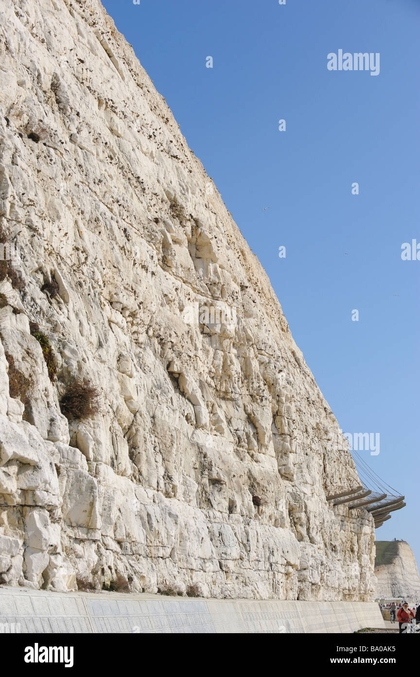 The chalk cliffs on the undercliff path between Brighton and Saltdean Stock Photo