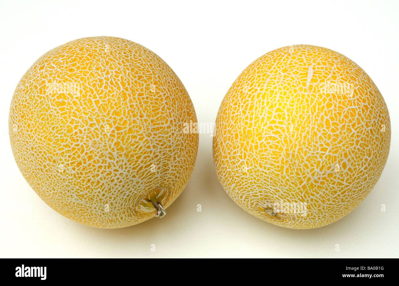 Galia Melons, Cucurbitaceae Stock Photo Alamy