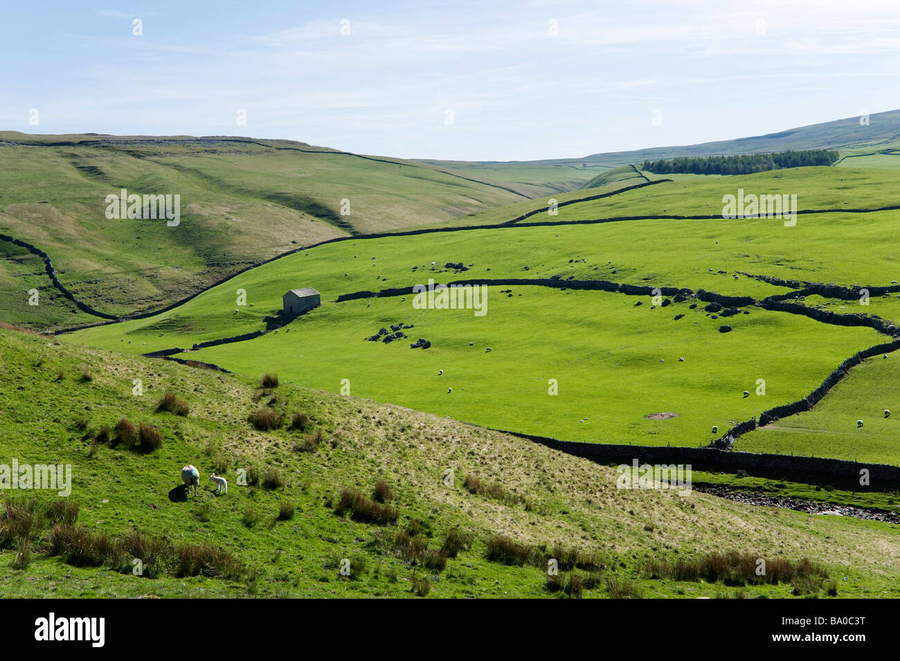 Countryside above Arncliffe in Wharfedale, Yorkshire Dales National Park, North Yorkshire, England, UK Stock Photo