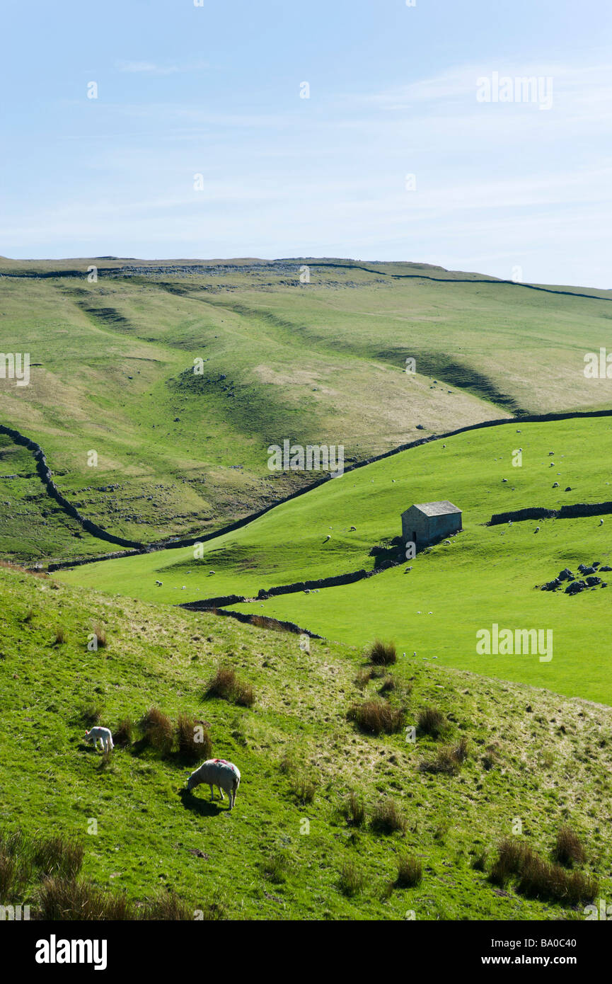 Countryside above Arncliffe in Wharfedale, Yorkshire Dales National Park, North Yorkshire, England, UK Stock Photo