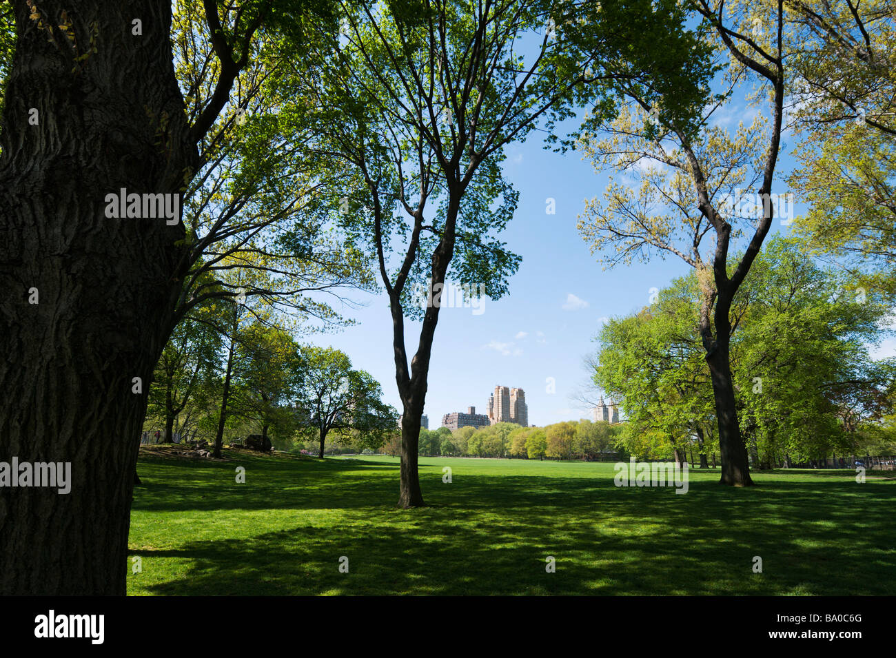 Sheep Meadow with Majestic and San Remo Apartments in distance, Central Park in Spring, Manhattan, New York City Stock Photo