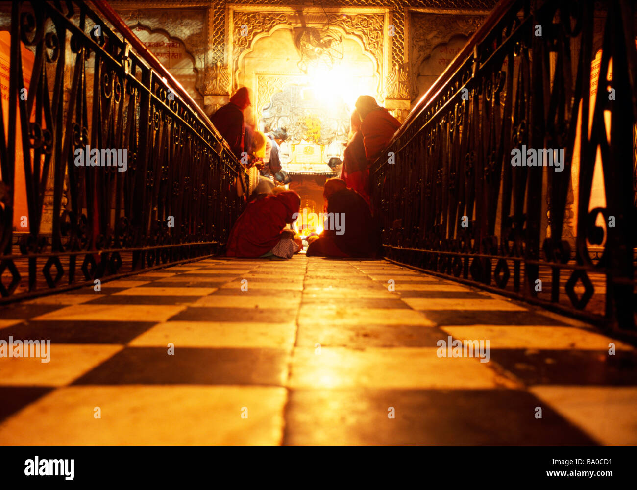 Indian men rat temple shrine hi-res stock photography and images - Alamy