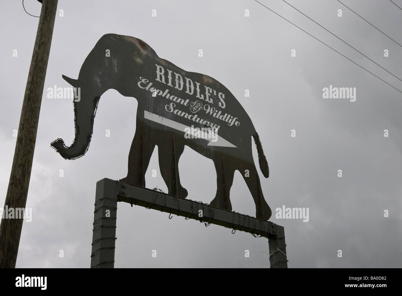 Riddle's Elephant and Wildlife Sanctuary in Greenbrier, Arkansas. Stock Photo