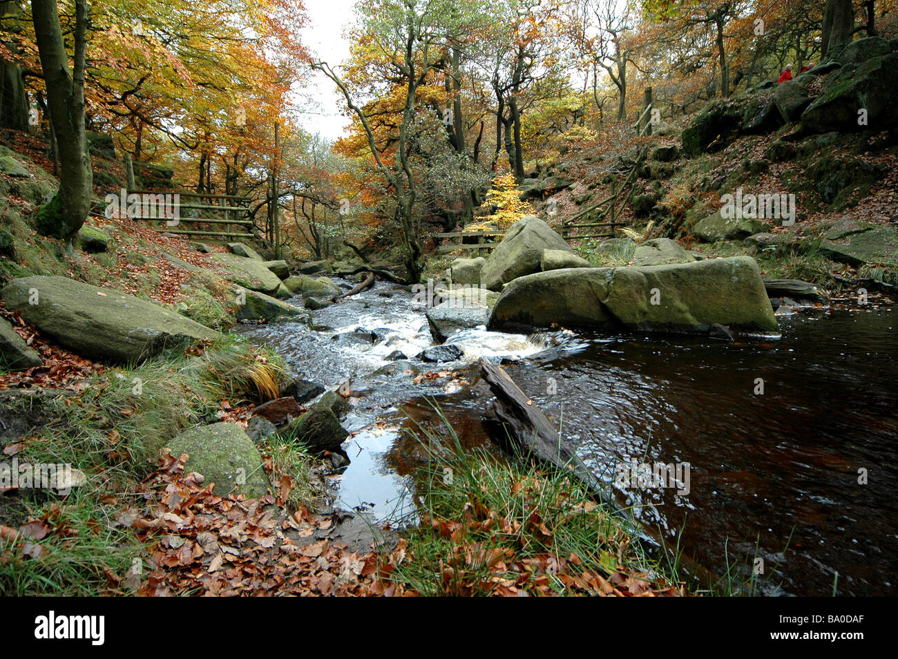 Grey Ridge Streams Fast flowing rocky stream Stock Photo - Alamy
