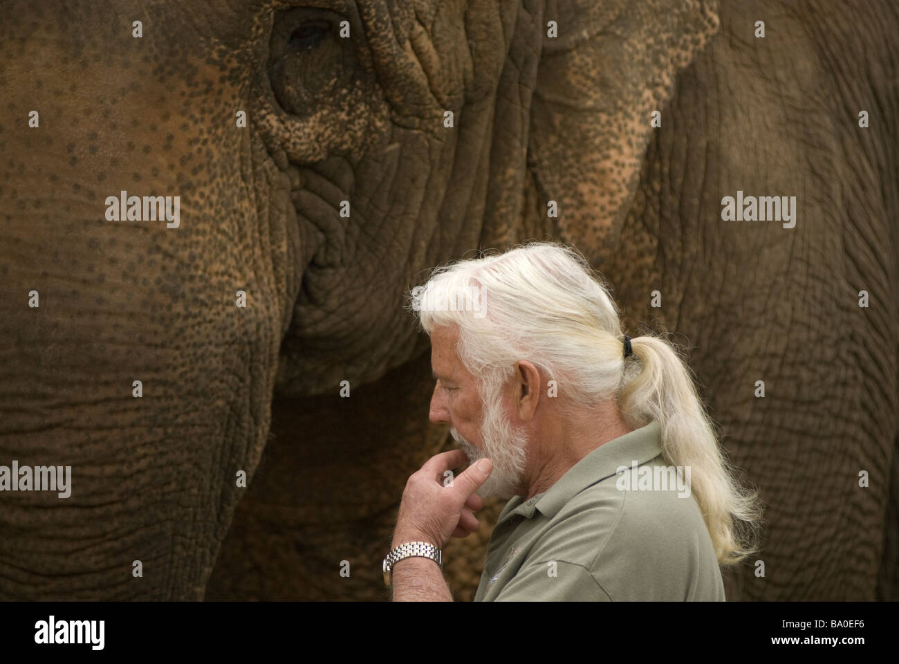 Riddle's Elephant and Wildlife Sanctuary in Greenbrier, Arkansas. Stock Photo