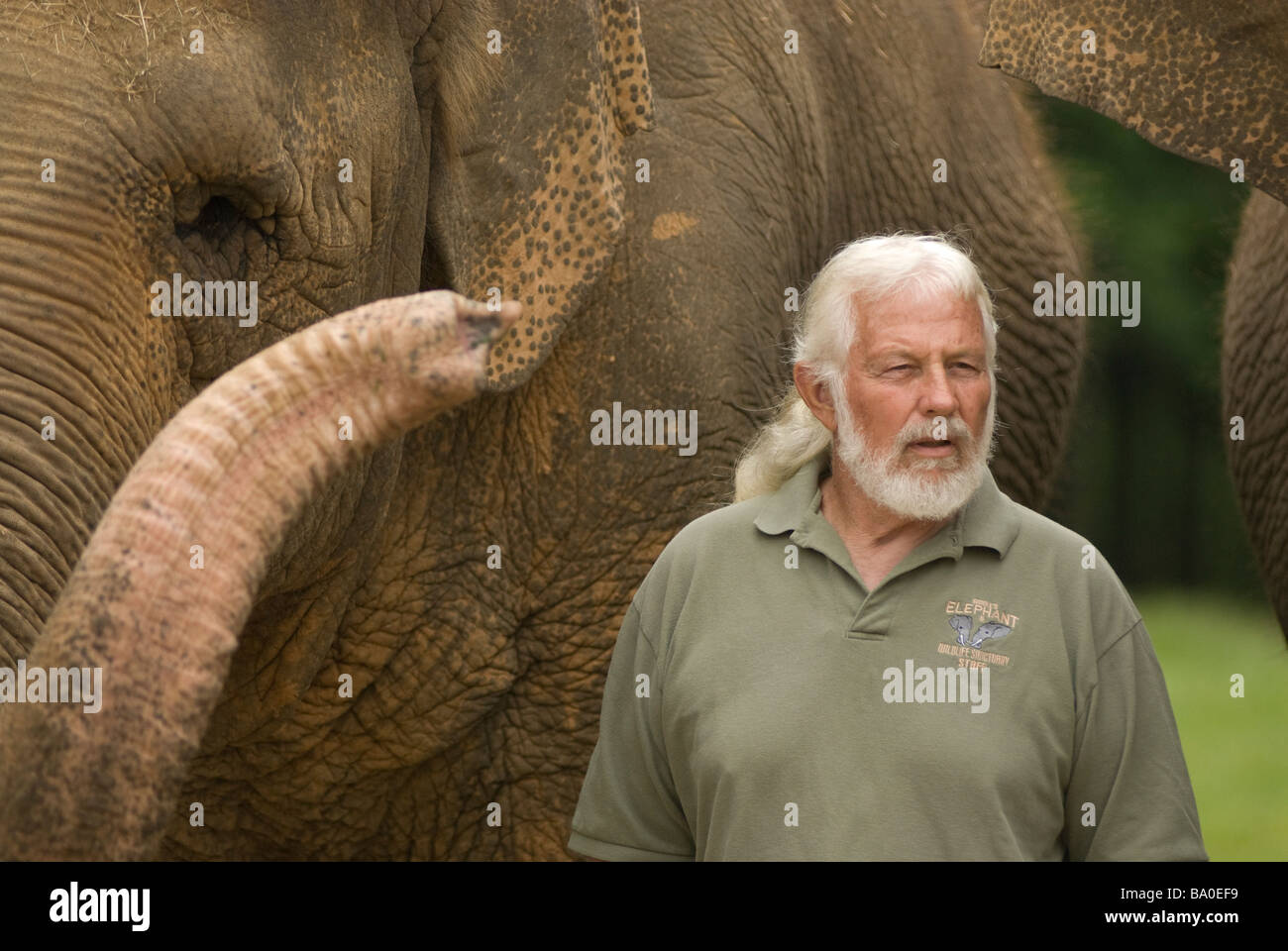 Riddle's Elephant and Wildlife Sanctuary in Greenbrier, Arkansas. Stock Photo