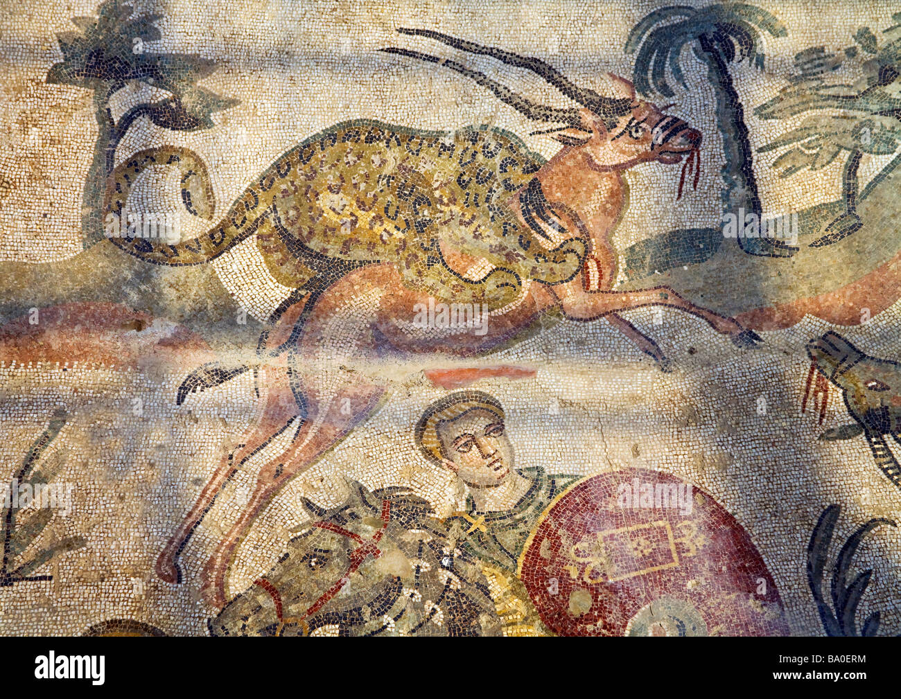 Roman circus wild animals hi-res stock photography and images - Alamy