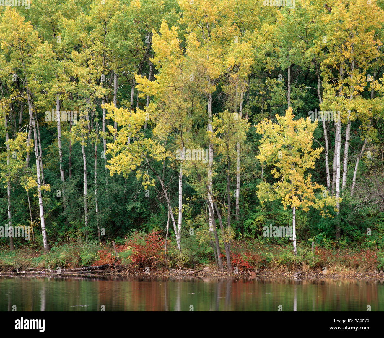 Kettle moraine state forest hires stock photography and images Alamy
