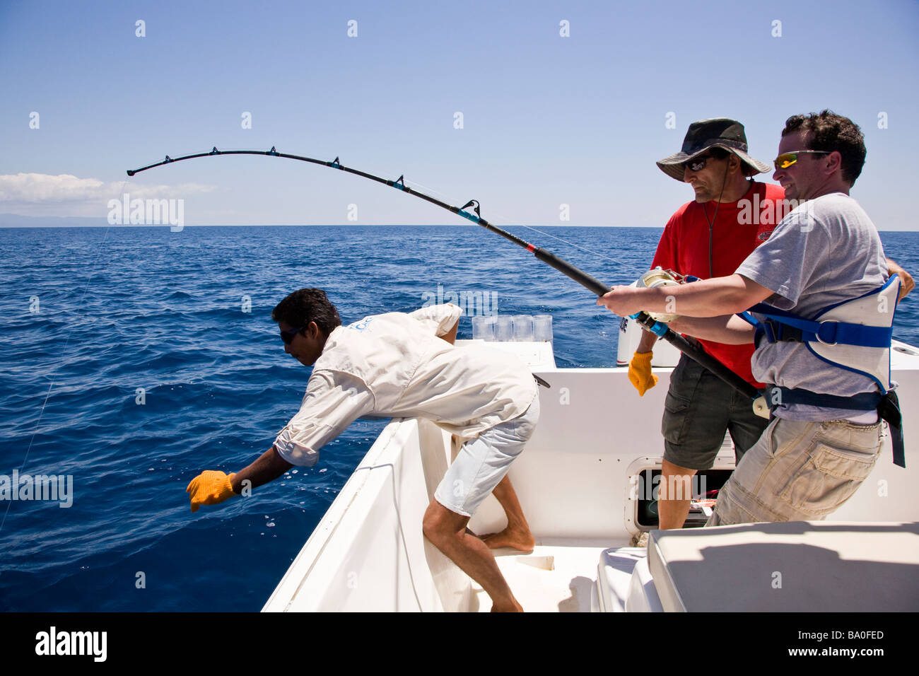 Sport fishing in Drake Bay, Costa Rica. Hauling in a Marlin. Stock Photo