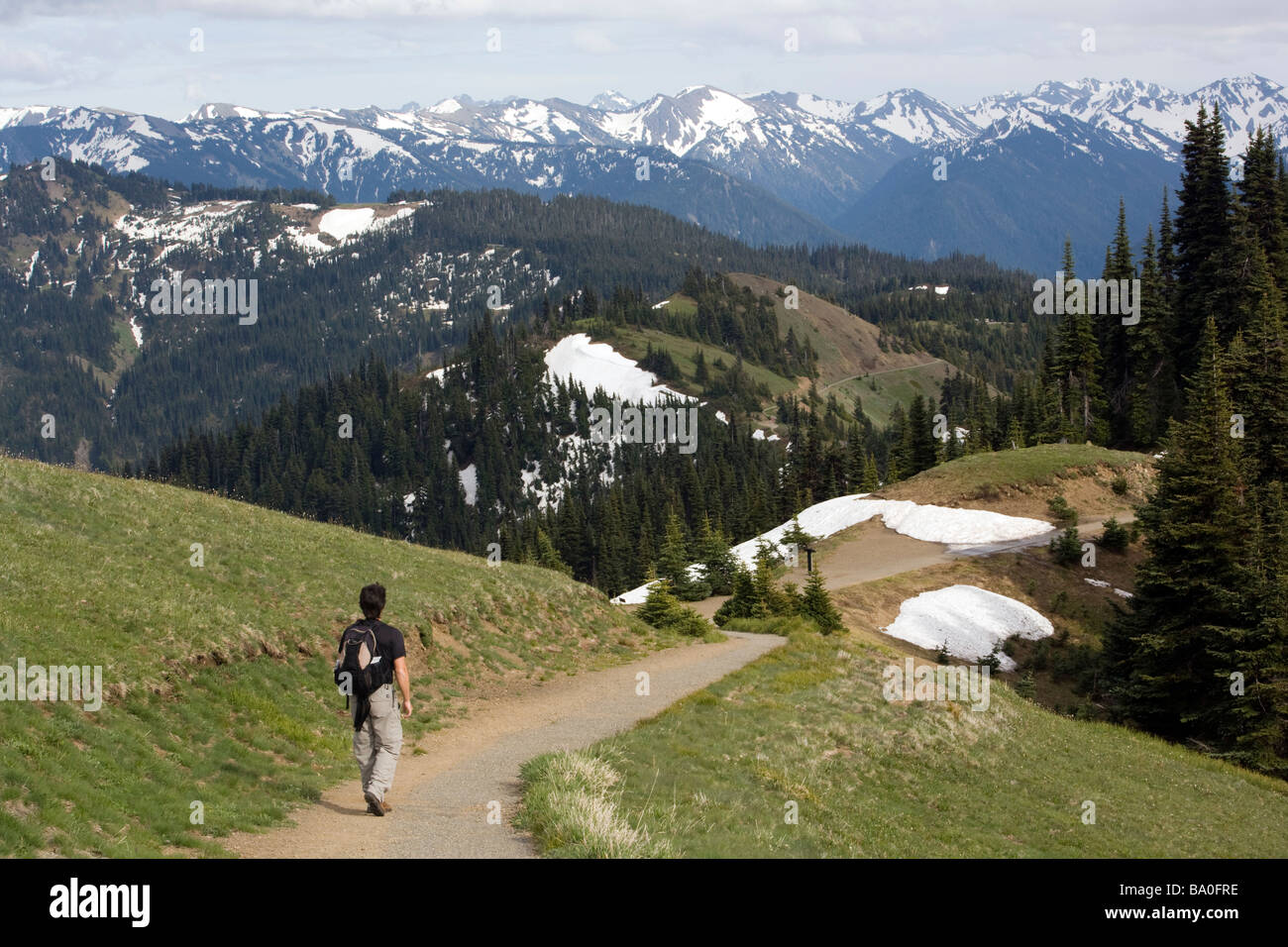 Hurricane ridge hike wta discount