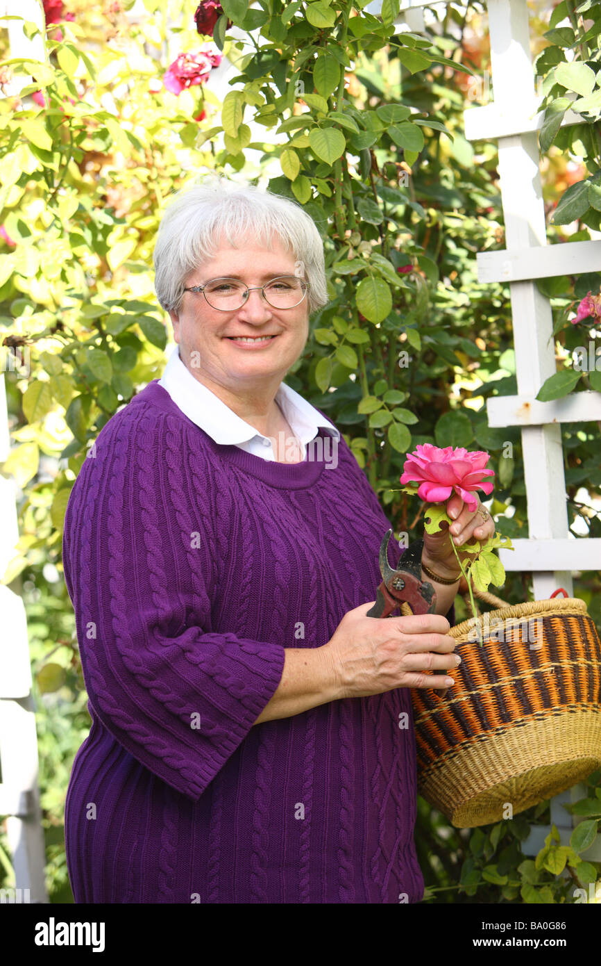Senior woman in rose garden Stock Photo - Alamy