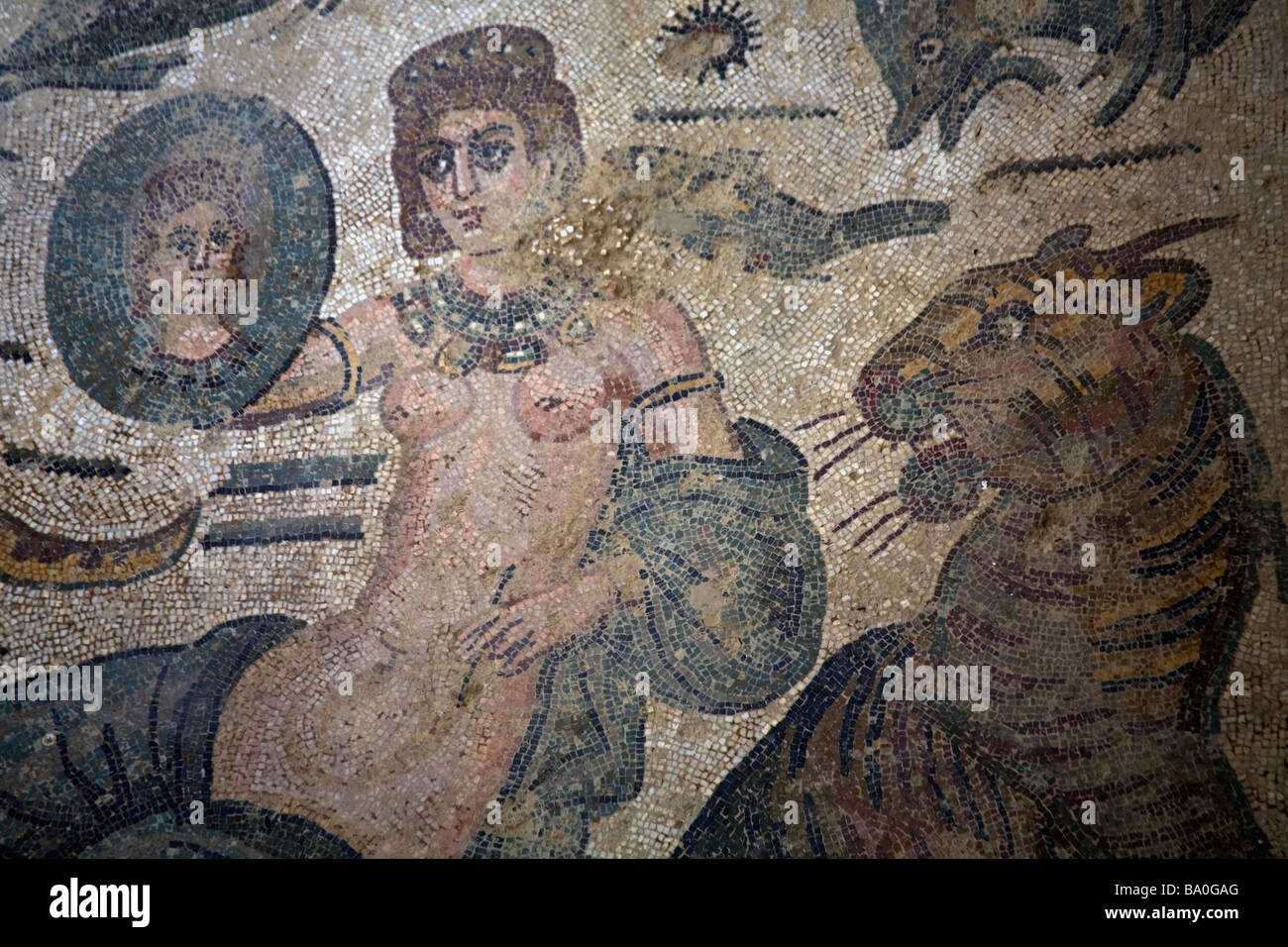 Chamber of Arion nereid holds mirror in which her face is reflected mosaic Villa Romana del Casale 4th century near Piazza Armer Stock Photo