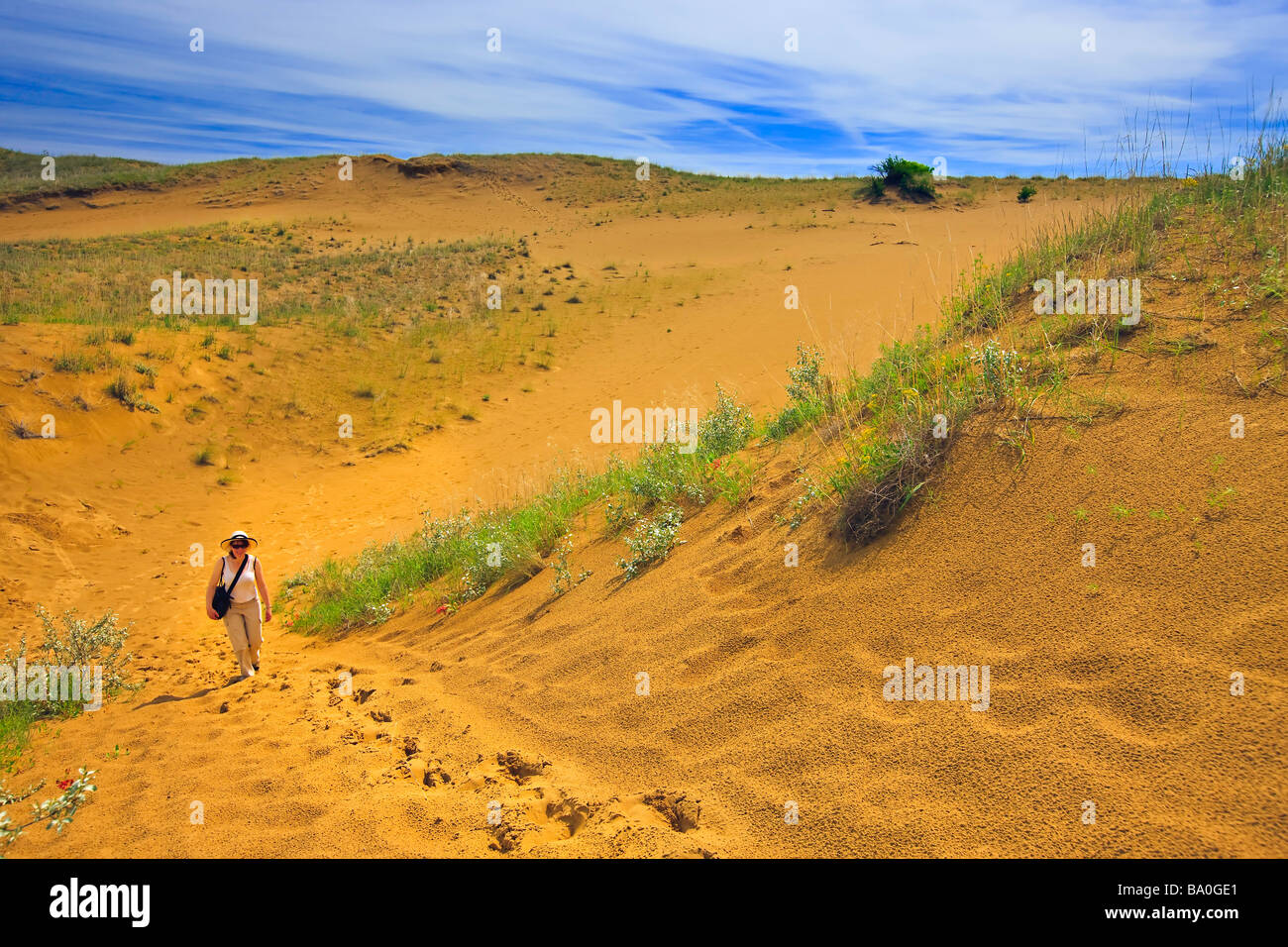 Tourist walking the Spirit Sands Trail Spruce Woods Provincial Park Manitoba Canada Model Released Stock Photo