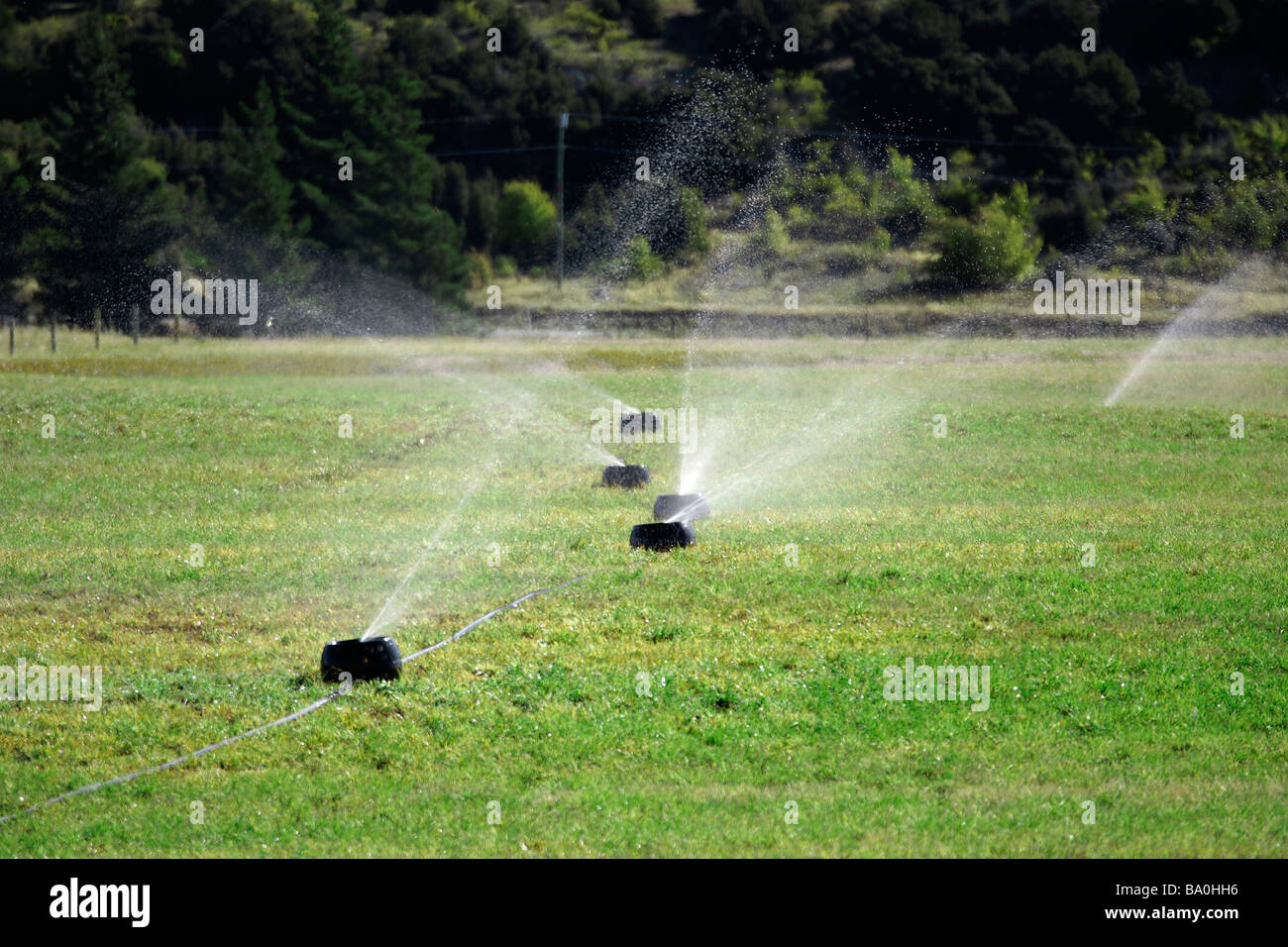 Irrigation Sprinklers watering a Meadow Stock Photo Alamy