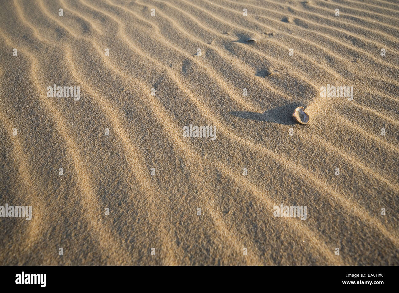 lines in the sand Stock Photo Alamy