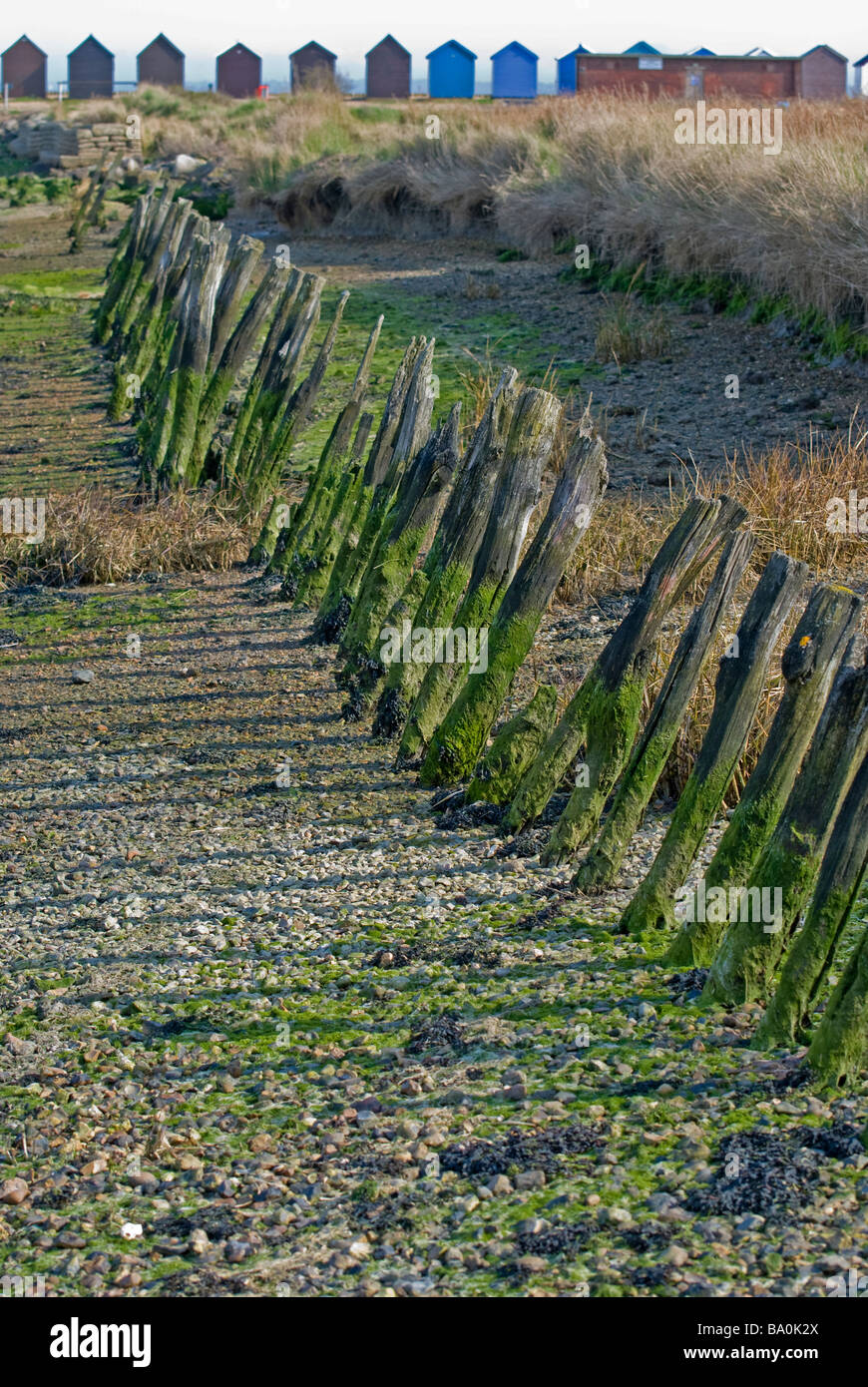 weathered  wooden posts  on shoreline with beach huts on horizon,calshot spit Stock Photo