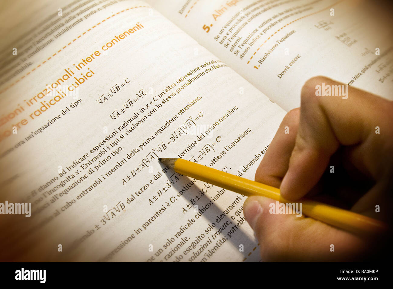 Reading study mathematics Stock Photo Alamy