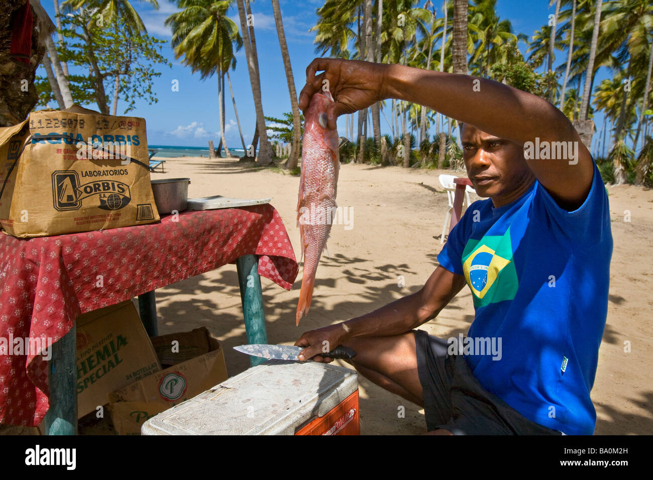 Local fisherman pulls out fresh red snapper or chillo to cook on Playa Bonito for tourists Samana Dominican Republic Stock Photo