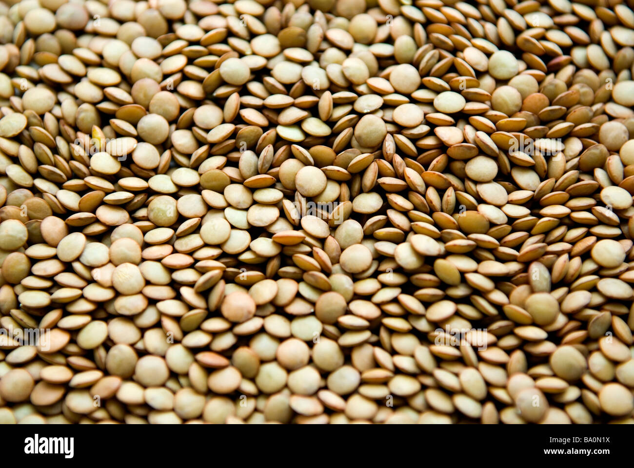 Close up of green lentils Stock Photo
