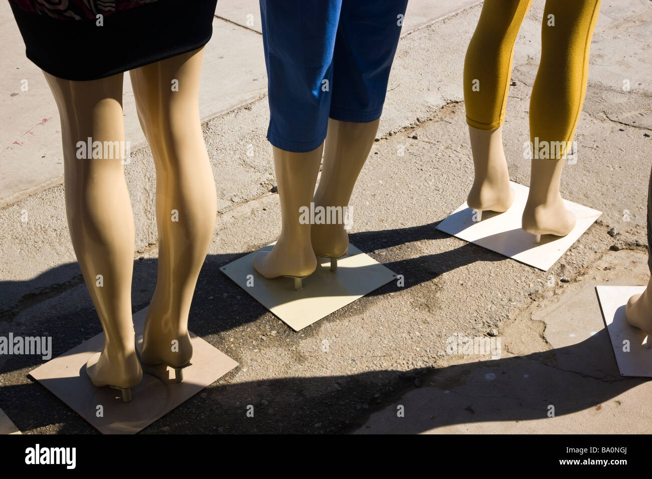 Legs of female mannequins wearing pants. Stock Photo