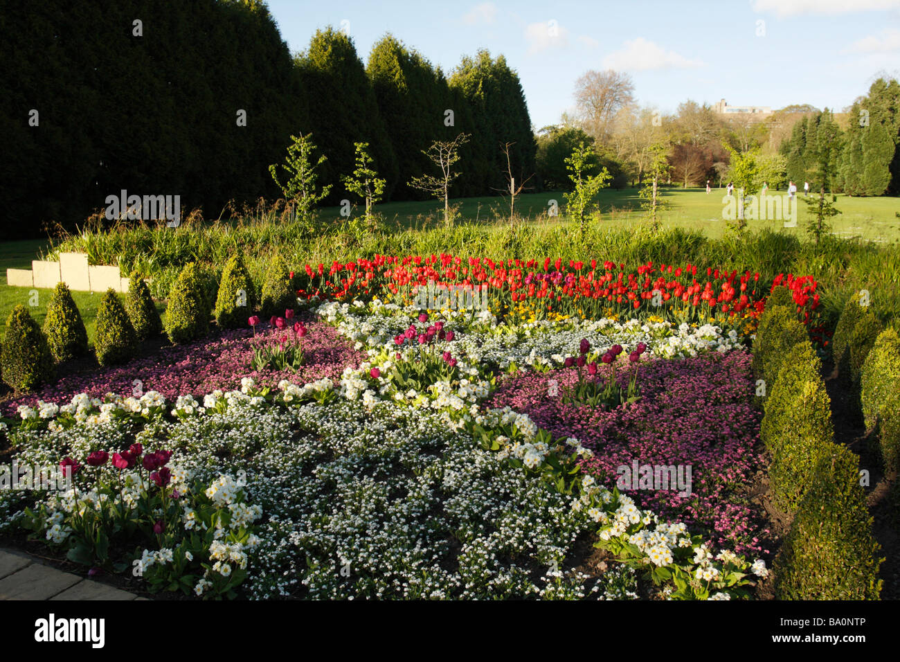 Colourful Flower Beds, Bute Park, Cardiff, Glamorgan, South Wales, U.K. Stock Photo