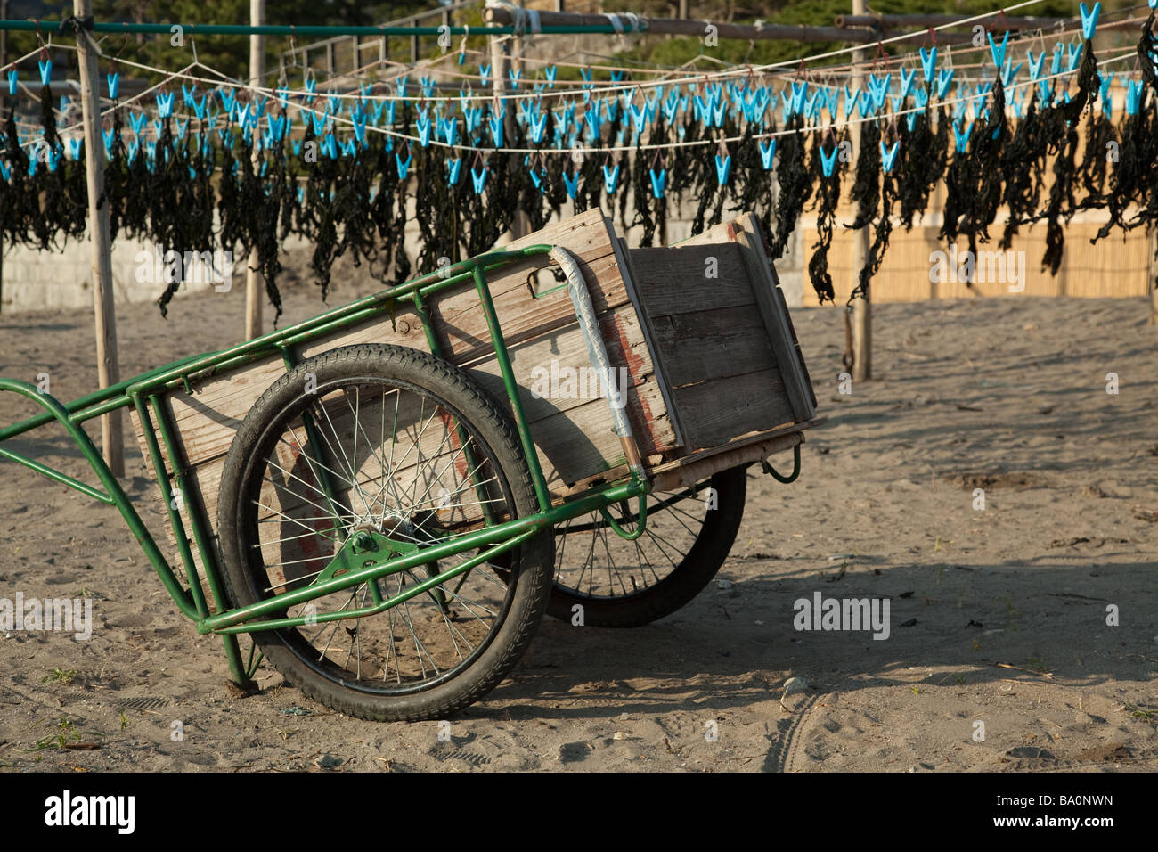 Japanese Cart and Kelp Stock Photo