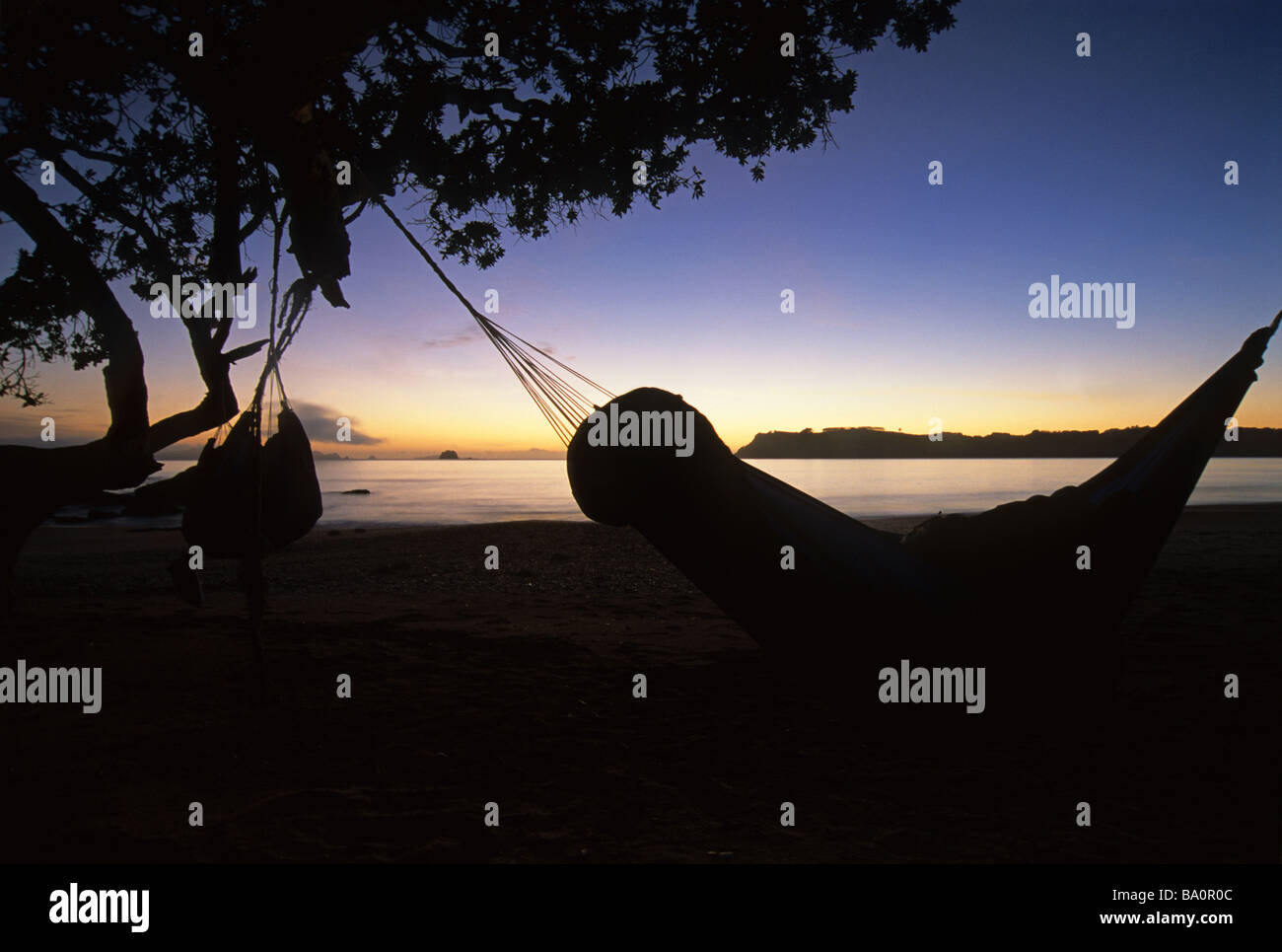 backpackers sleeping in hammocks on a remote beach on the North Island