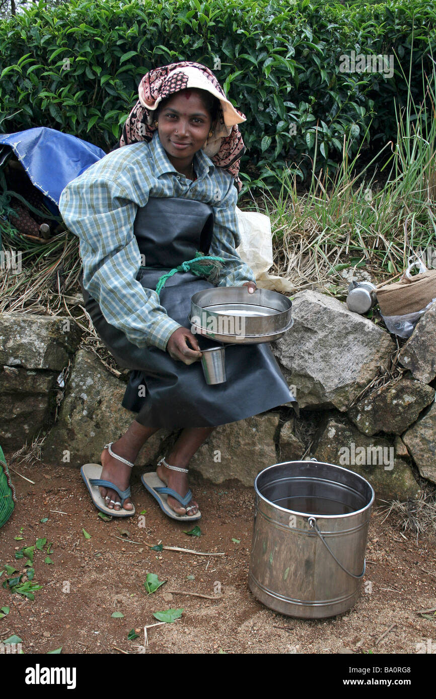 Indian tea picker hires stock photography and images Alamy