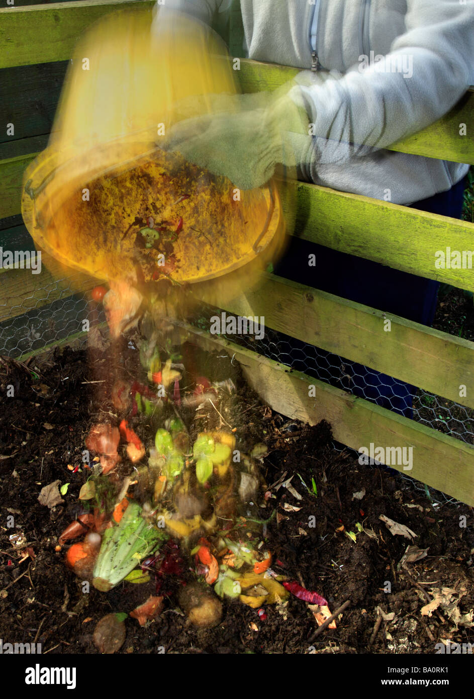 Bucket of kitchen waste being poured into a compost heap. Stock Photo