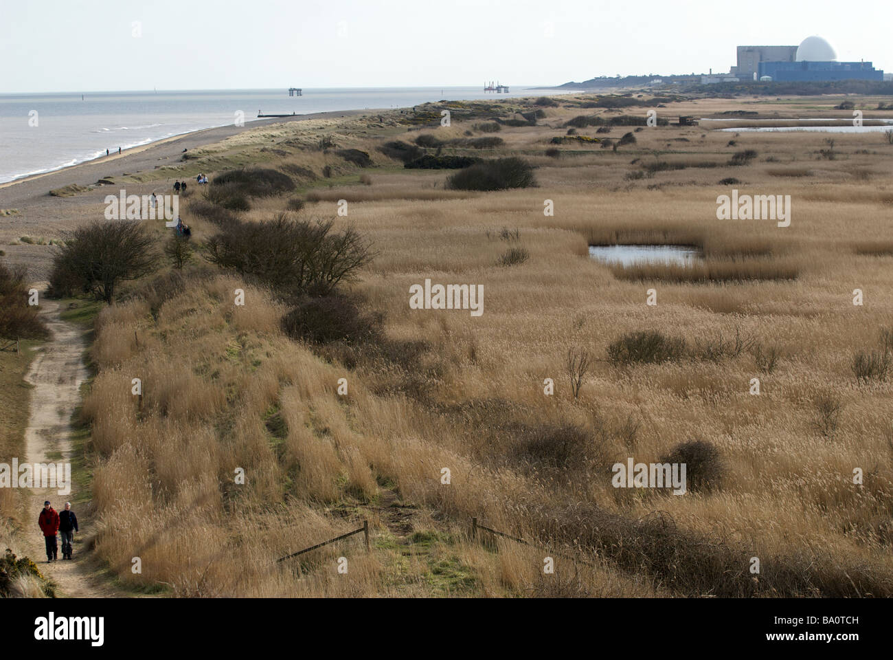 Minsmere Nature Reserve, close to the Sizewell nuclear power stations, Suffolk, UK. Stock Photo