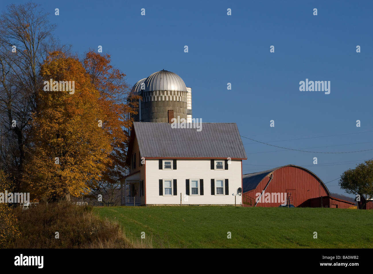 Small family dairy farm in autumn with white house red barn and blue ...