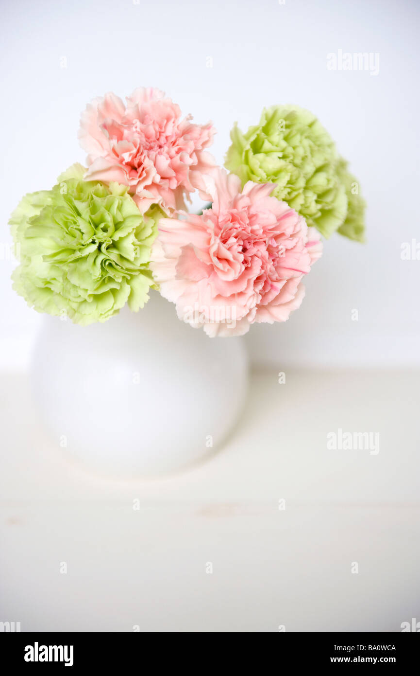 Carnation flower and vase Stock Photo