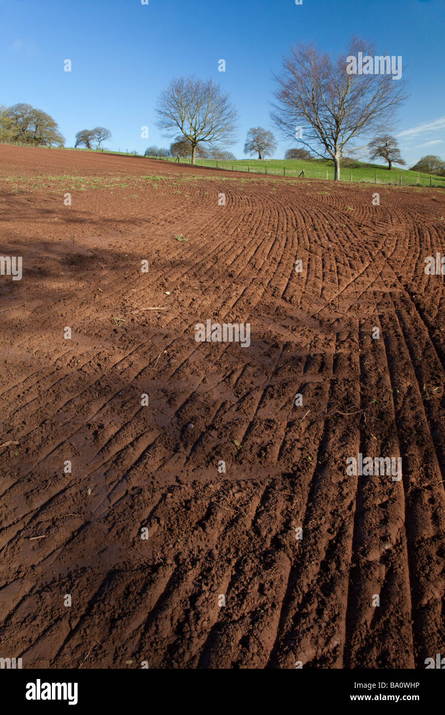 Farming land along the sandstone trail in Cheshire Stock Photo