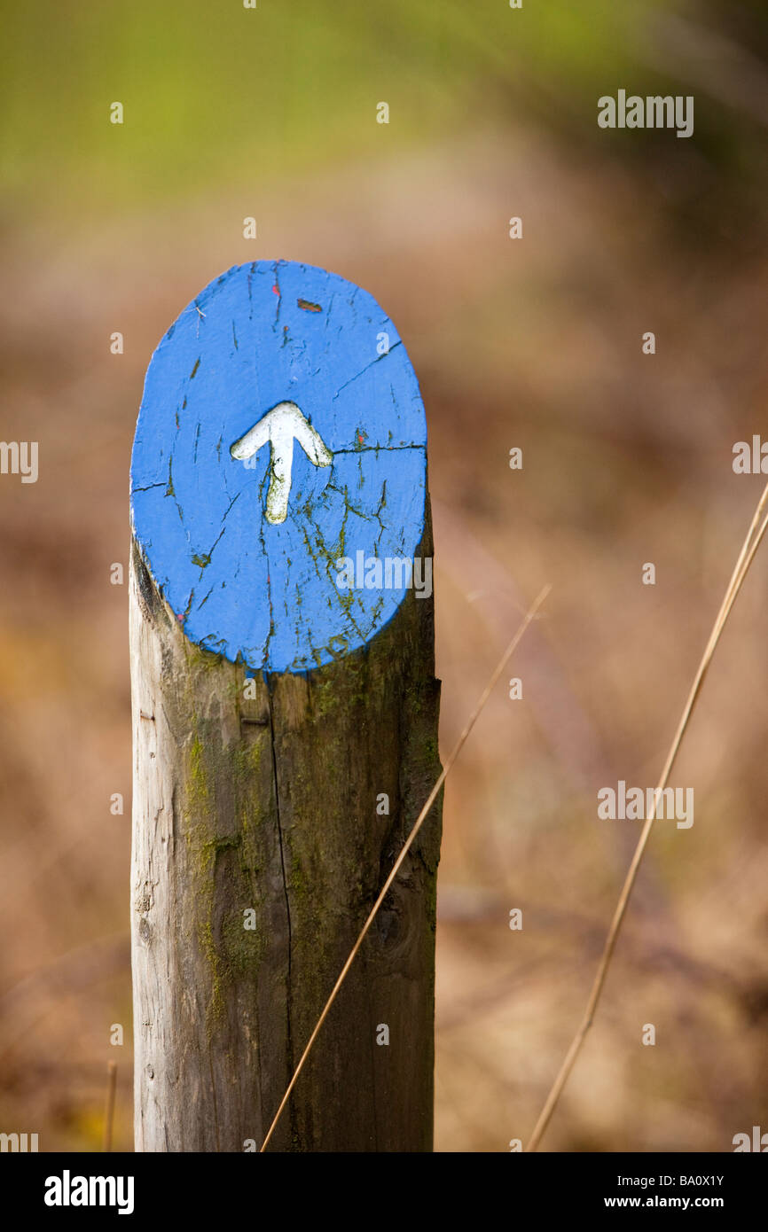 Wooden direction marker with arrow marking the way on a nature trail walk Stock Photo
