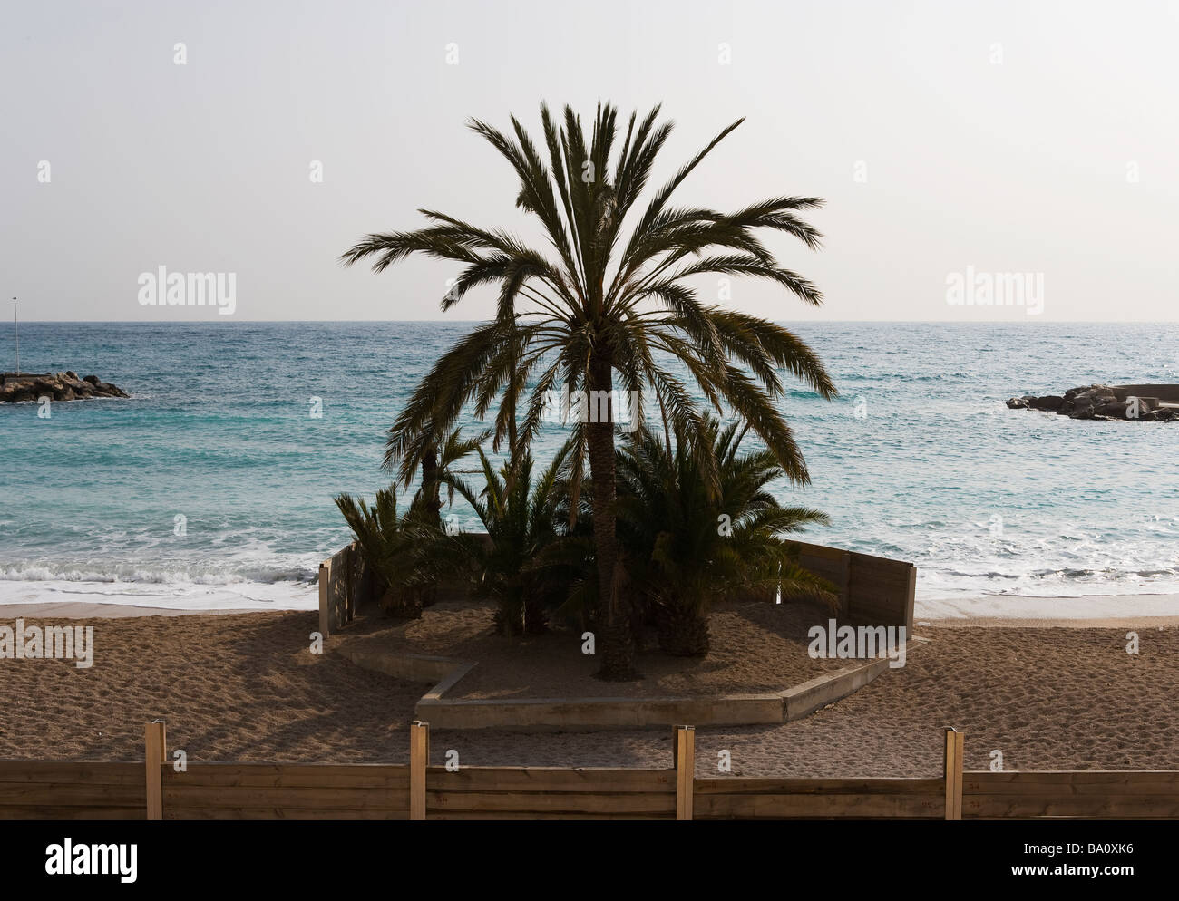 Monaco, Montecarlo, French Riviera, Mediterranean Coast, Sea, France, Seacoast, Wharf, Sand, Concept, Idea, Solitude, Palm, Stock Photo