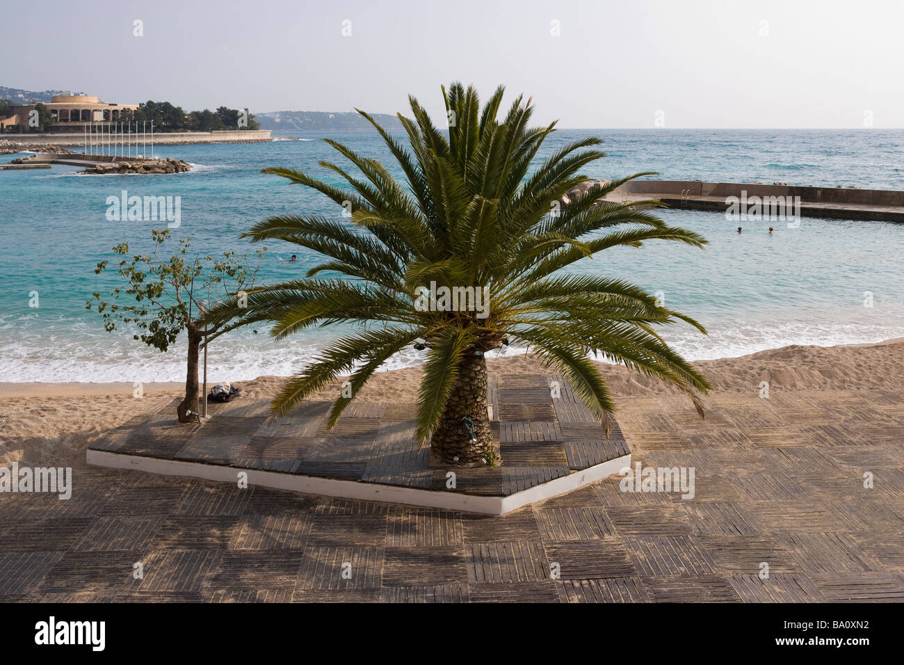 Monaco, Montecarlo, French Riviera, Mediterranean Coast, Sea, France, Seacoast, Wharf, Beach, Idea, Palm, Stock Photo