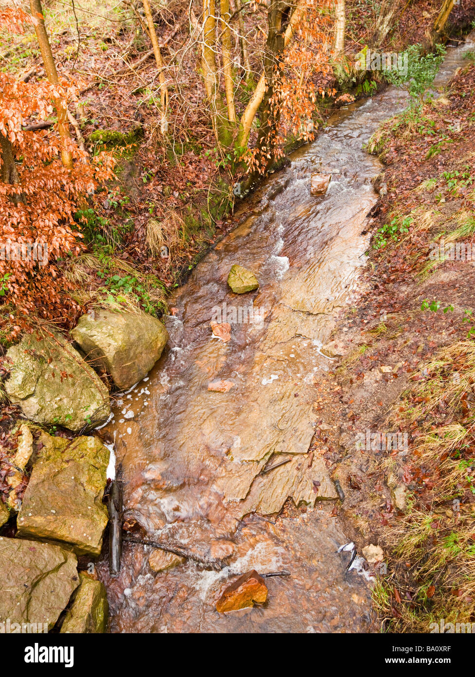Forest stream in autumn winter - taken from above UK Stock Photo